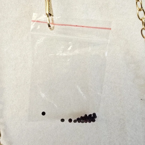 Red Gem Evening Bag 2 Different Length Chains & Extra Gems NWOT Fits Cell Phone - Picture 12 of 16